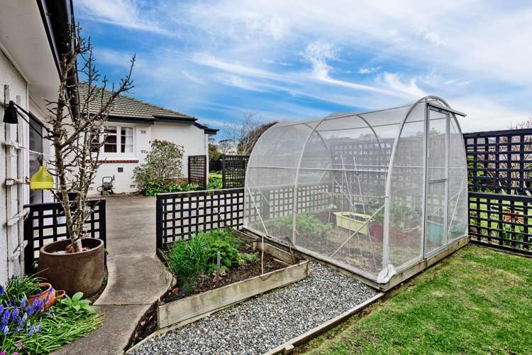 66 Park Street Gladstone_25