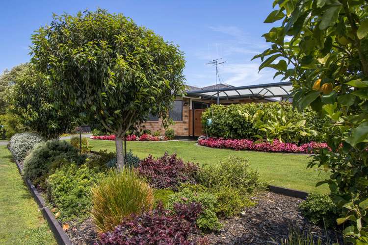 2 Bransley Grove Katikati_22