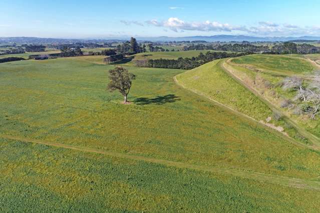 41 McNaughten Rd Waiuku_3