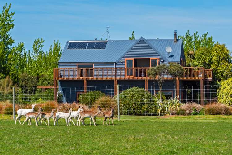 51 Scarborough Road Scarborough_22