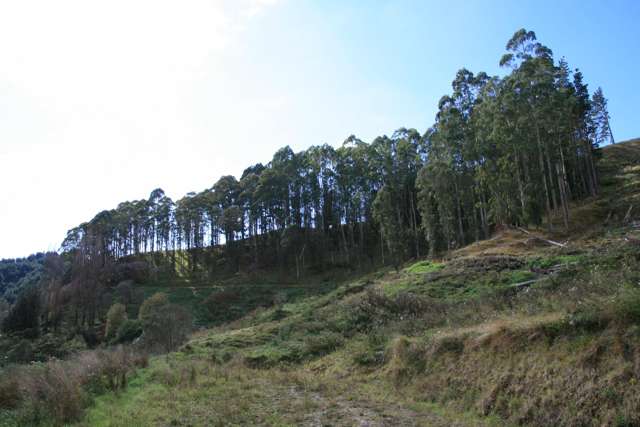 0n Tangahoe Valley Road Ohangai_1