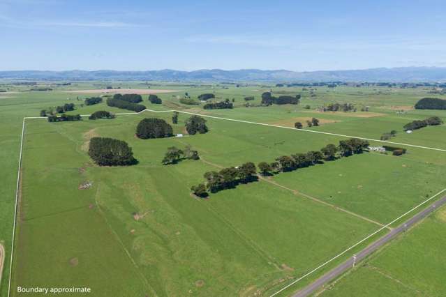 Nice Balance Of Soils On 52.4ha