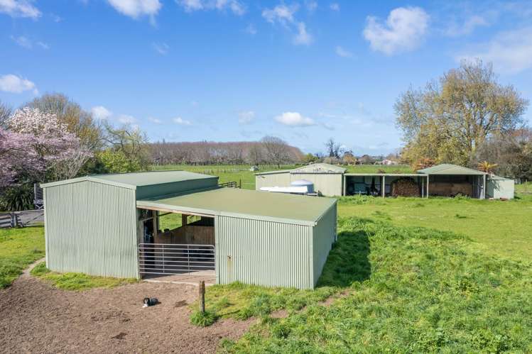 256 Kaipaki Road Ohaupo_16