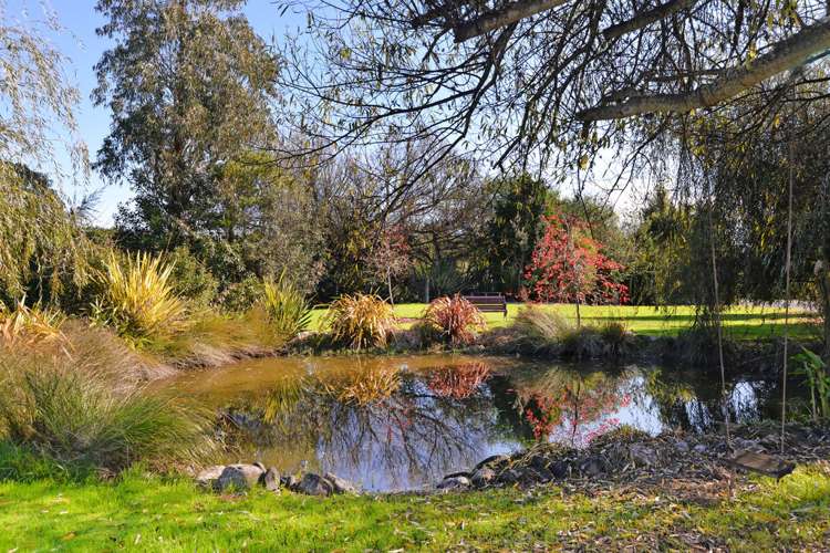 298 Aporo Road Tasman_17