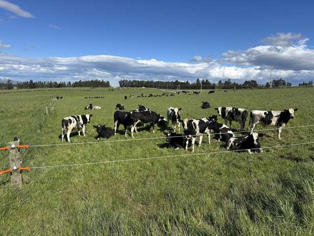 412 Gallagher Road Mossburn_1