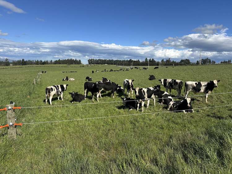 412 Gallagher Road Mossburn_1