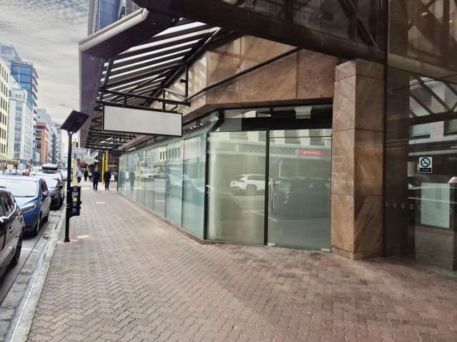 171 Featherston Street Wellington Central_1