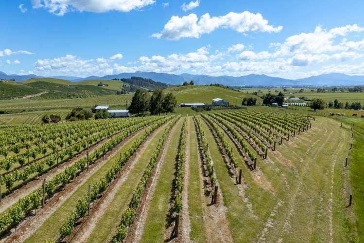 175 Wrekin Road Fairhall_21