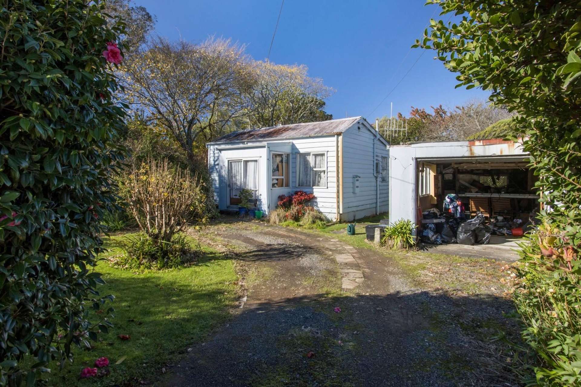 42 Adams Street Waihi_0