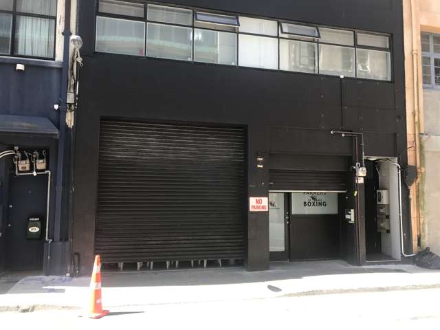 10 Holland Street Te Aro_3