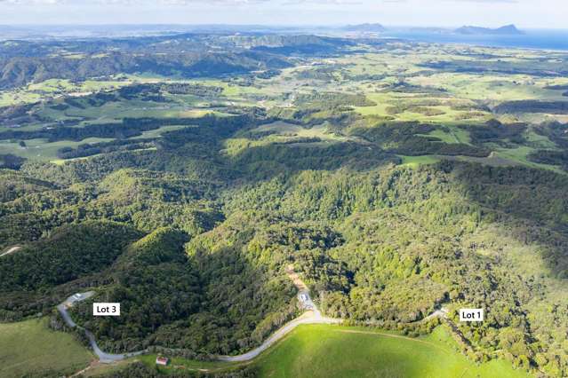 Lots/1 & 3 McAdam Road Waipu_2