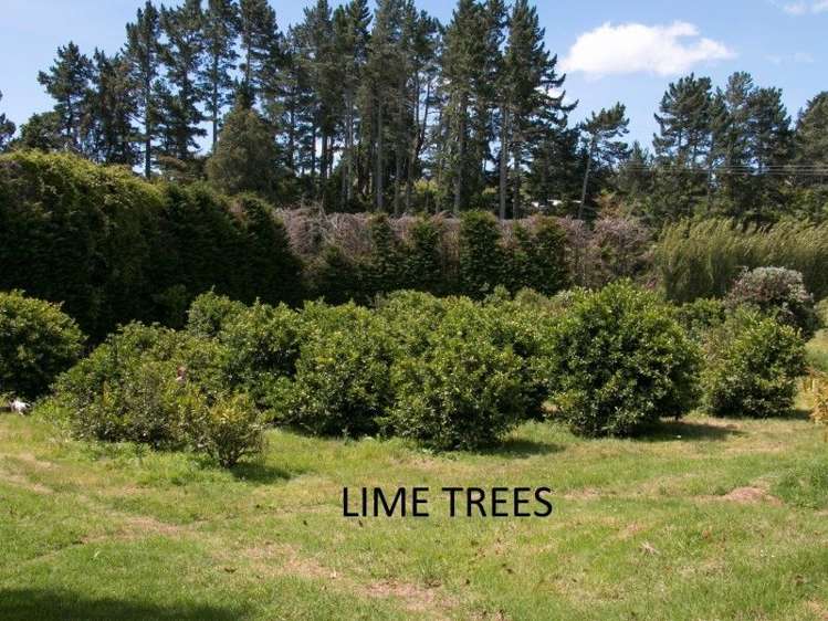 58d Rawaka Drive Katikati_12