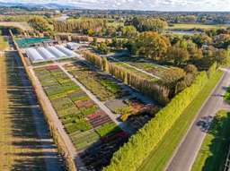 Manawatu nursery for sale for $1.475m