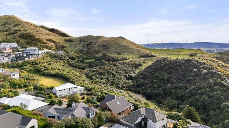 14 Carmichael Street Johnsonville_19