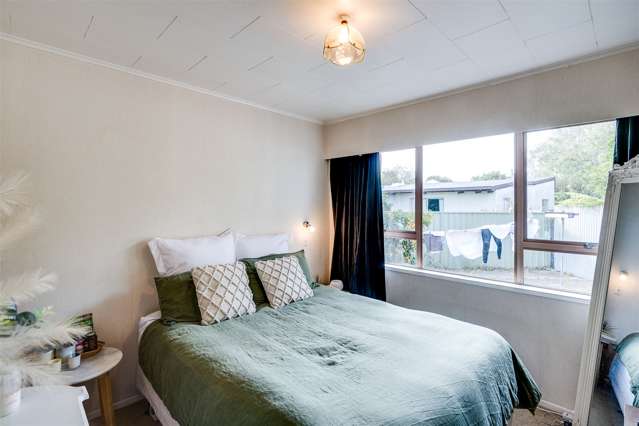 20 Plunket Street Tamatea_4