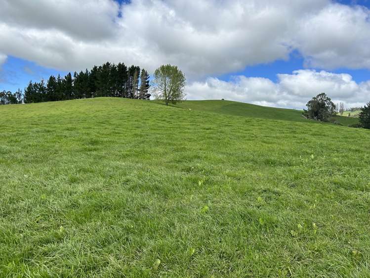 356 Lurman Road Otorohanga_10