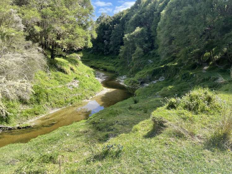 851 Awamate Road Frasertown_22