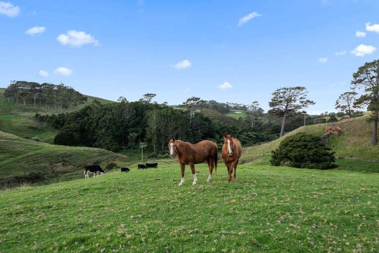 1096f Awhitu Road Waiuku_36