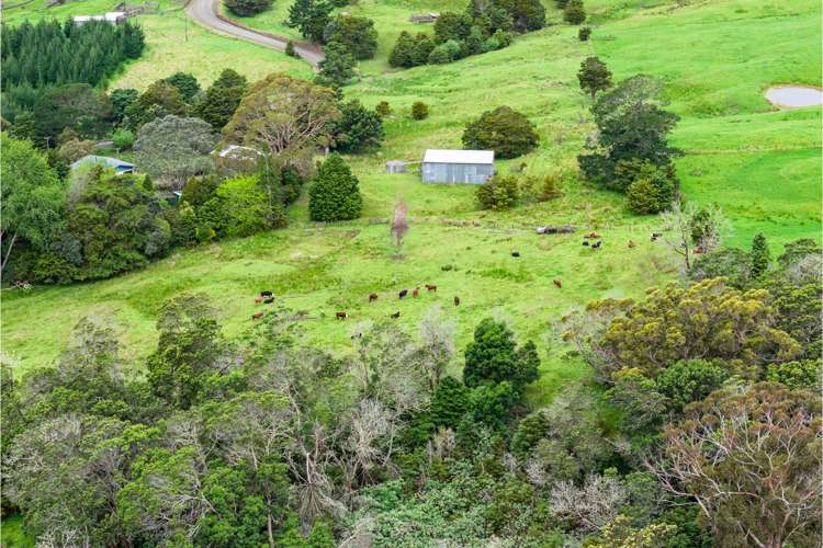 757 Opanake Road Parore Dargaville_51