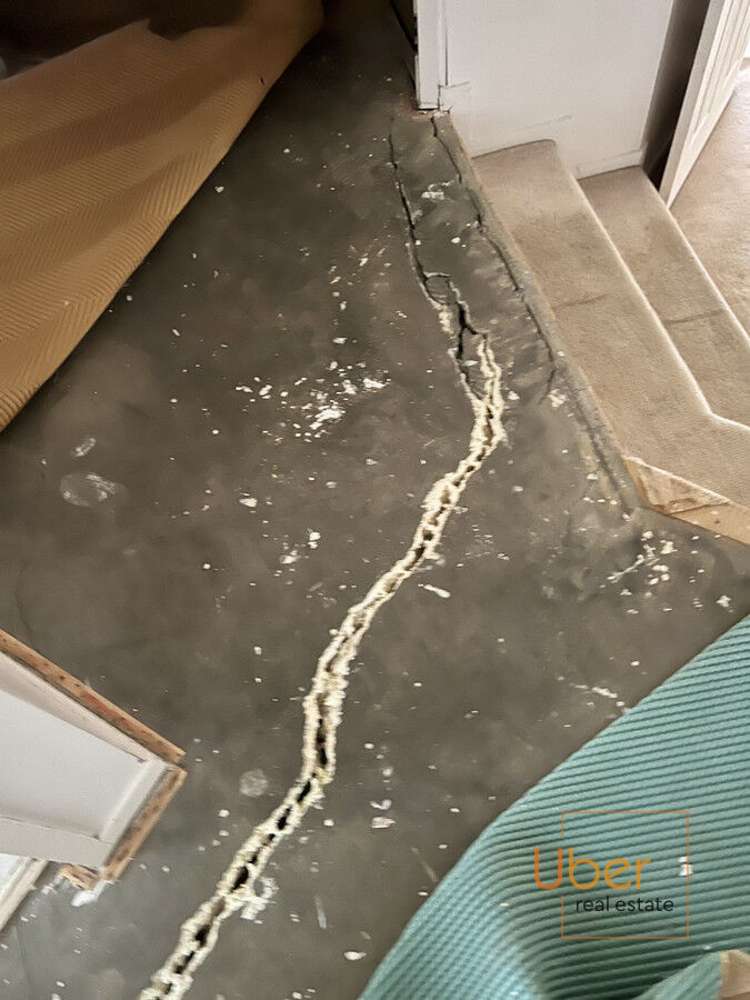 11 Davidson Avenue Tamaterau_16