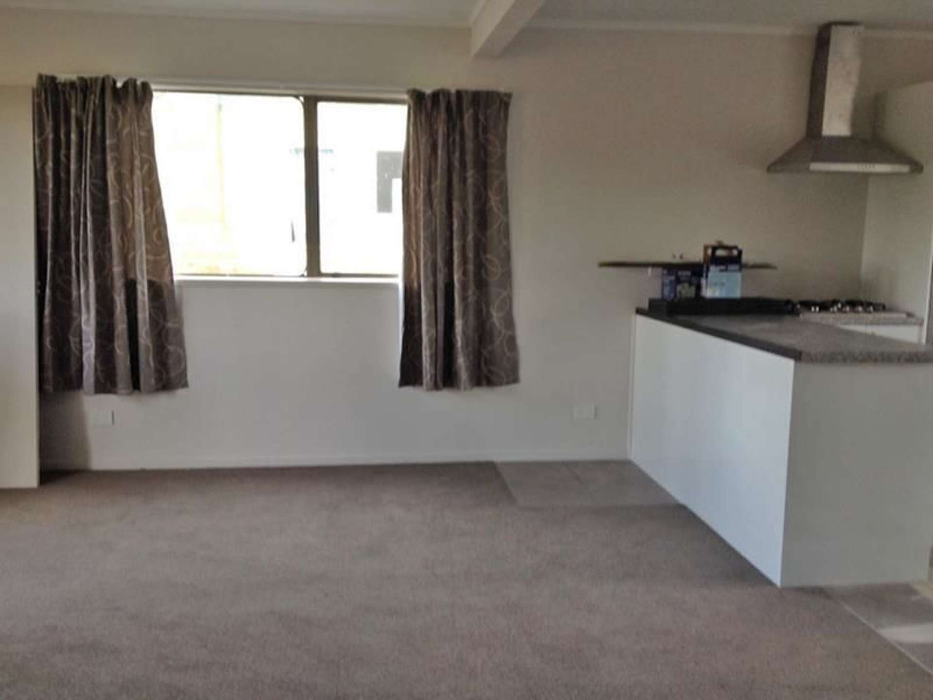 75 Fruitvale Road New Lynn_0