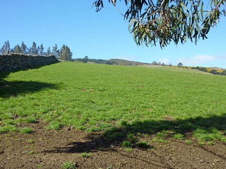 58 Cowan Road Pine Hill_14