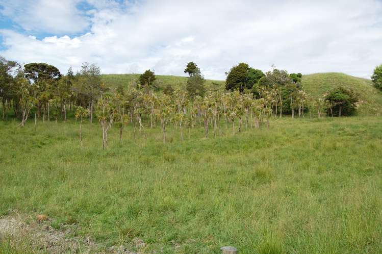 135 Phillips Road Kaiwaka_20