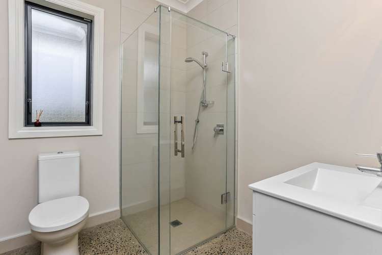 166J Postman Road Dairy Flat_53