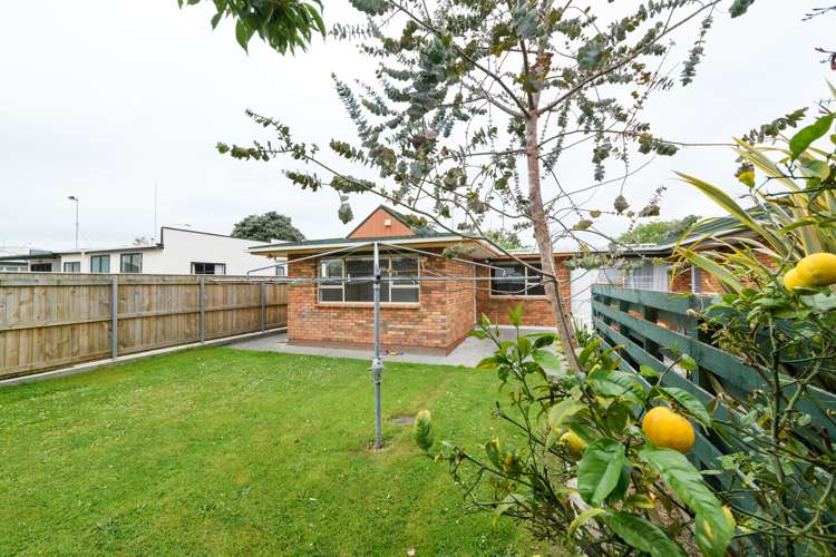 47a Haydon Street Roslyn_24