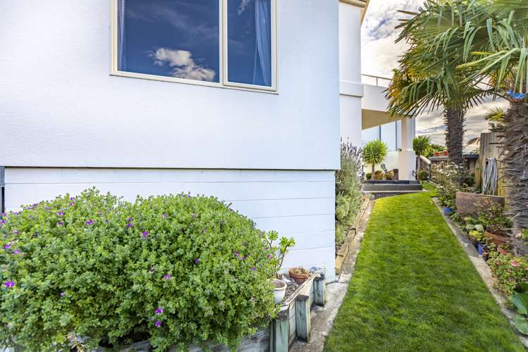 37 Fitzroy Road Bluff Hill_8