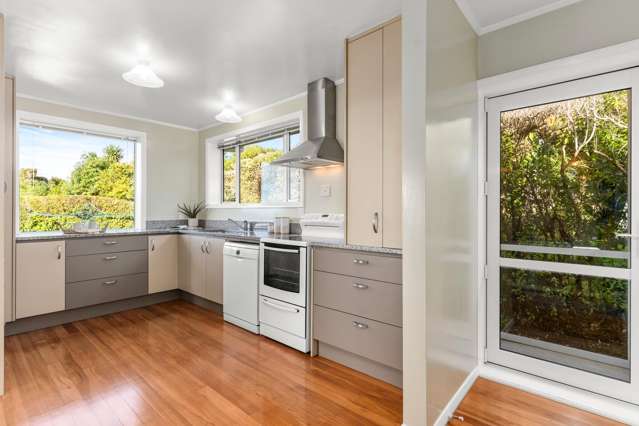 264 Cannon Hill Crescent Mount Pleasant_3