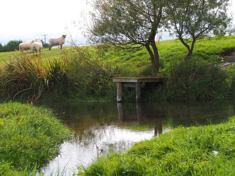 321 Clayton Road Fairlie_11