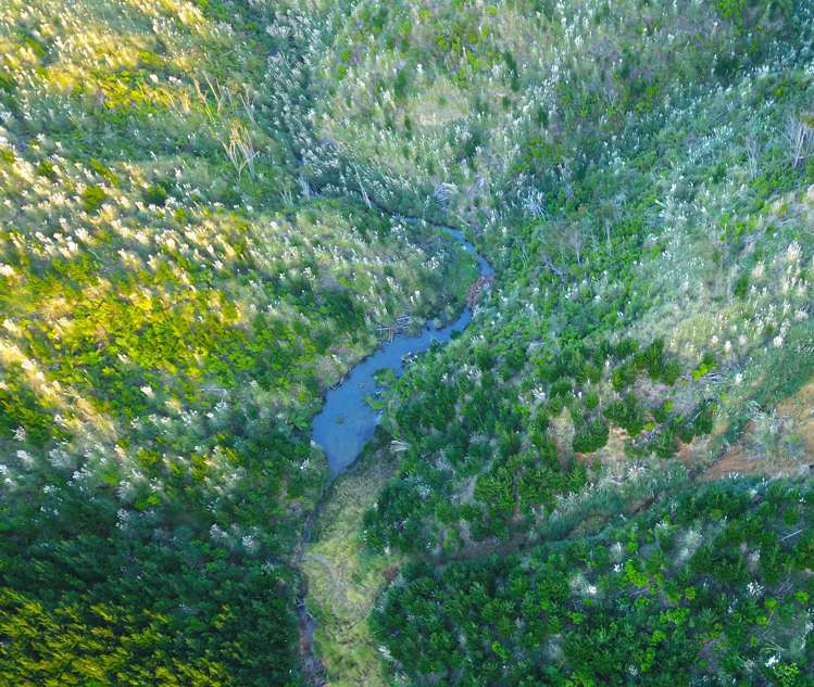 Lot 2 Waiotehue Road_2