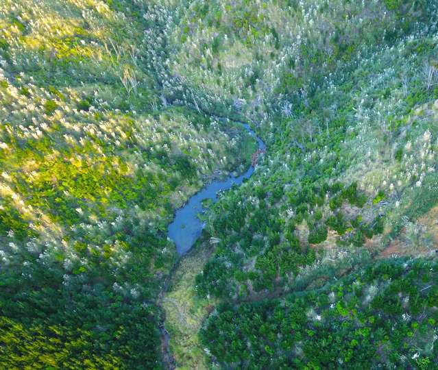 Lot 2 Waiotehue Road Broadwood_2