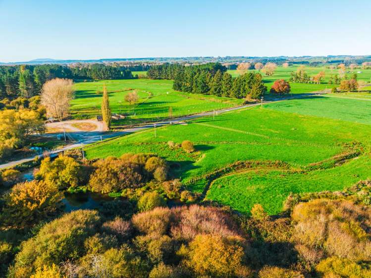 144 Earle Road Broadlands Forest_5