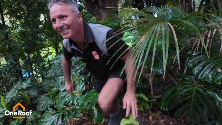 Jurassic Park in Remuera: ‘I don’t think you get much worse than this ... but it felt so beautiful’