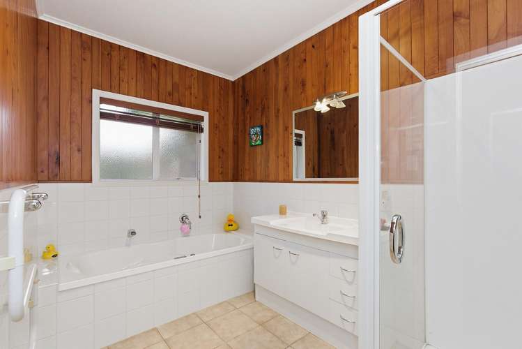 81D Horrell Road Morrinsville_16