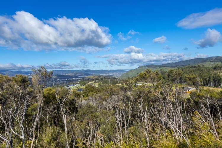 235a Fairview Drive Birchville_5