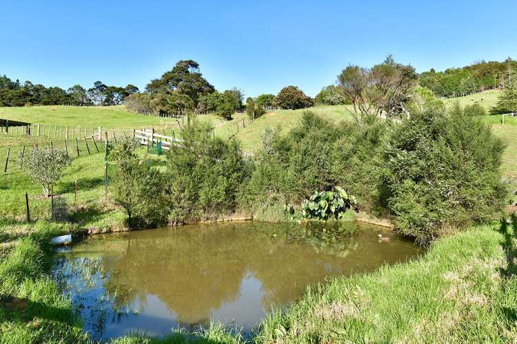 65c Manuka Grove Helensville_33
