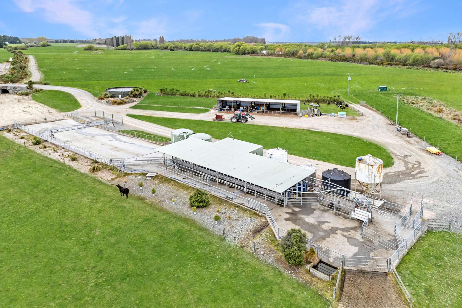 1375 Ashburton Staveley Road Ashburton Forks_0