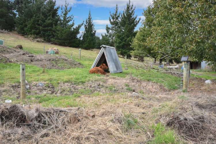 2 Dunedin Street Milton_19