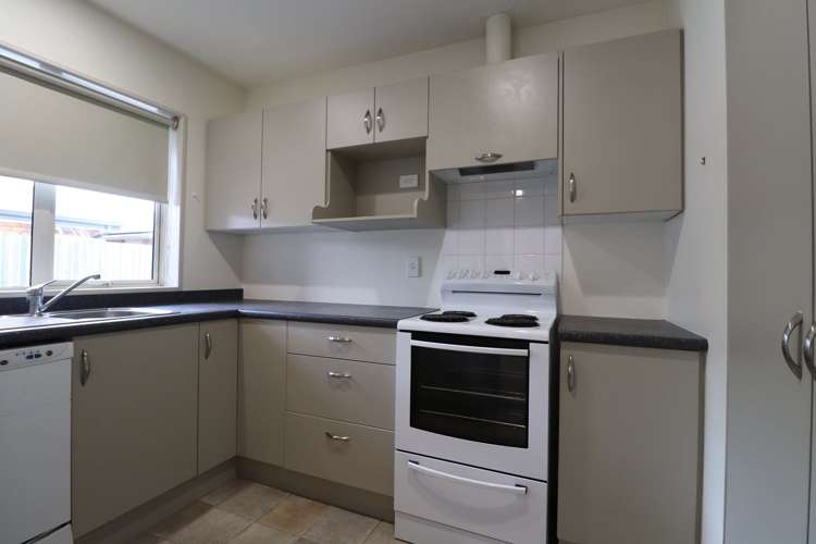 87b Stourbridge Street Spreydon_4