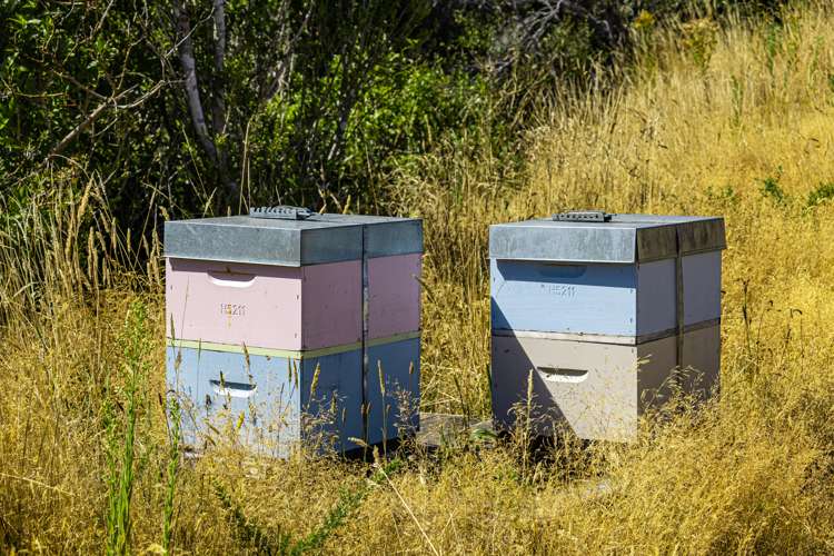 Ngahape Road Masterton_11