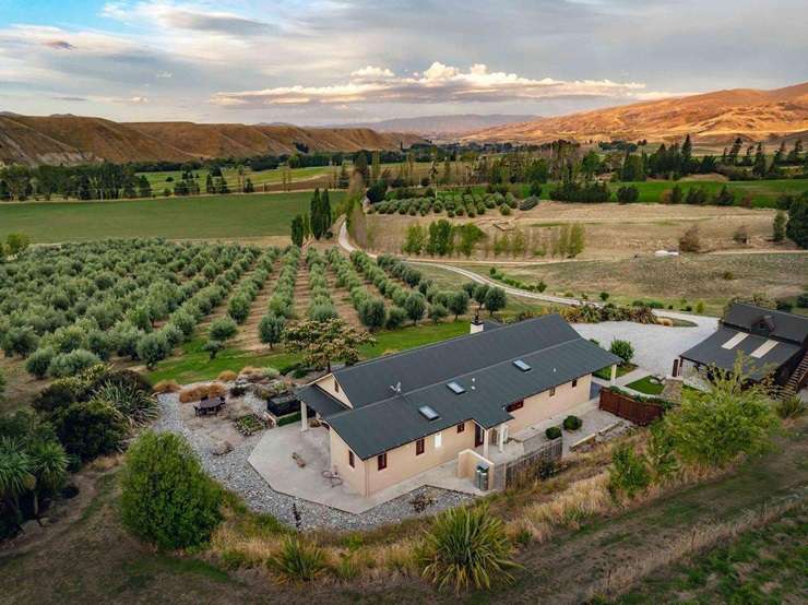 A three-bedroom straw bale home is for sale at 58 Thomson Gorge Road, Tarras, Central Otago. Photo / Supplied