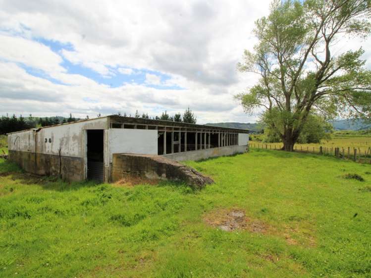 76 Broomfield Road Woodville_20