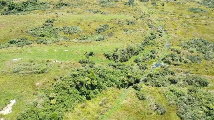 980 Wilsons Lead Road Cape Foulwind_15