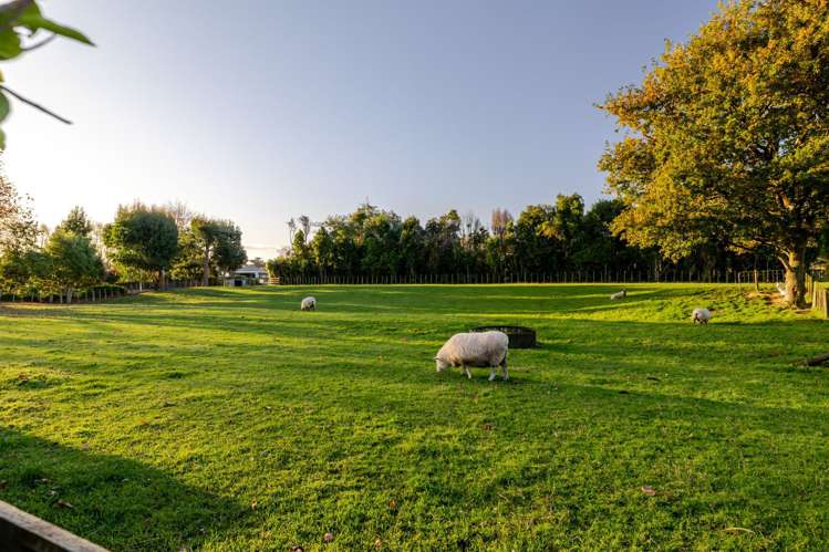 6 Glasgow Street Pahiatua_18