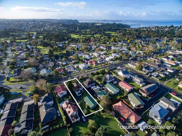 123 Astley Avenue New Lynn_23