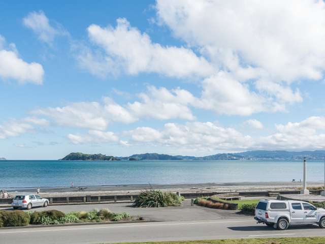 175 The Esplanade Petone_1