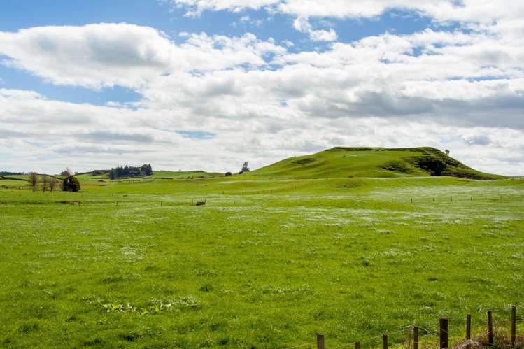 2175 Morrinsville-Walton Road Richmond Downs_19